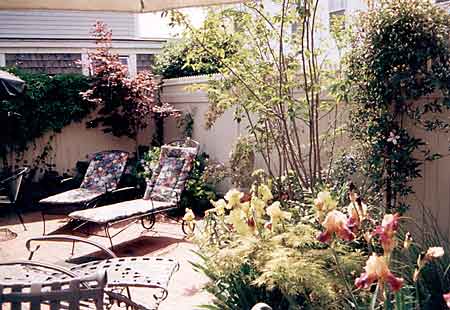 Prince Albert, Provincetown