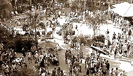 Suncoast Resort, Tampa/St. Pete Area