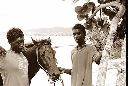 Sand Castle On The Beach Hotel & Resort, St. Croix