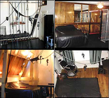 Glimpses of Black Tulip 