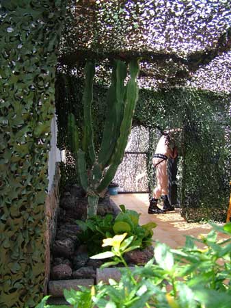 Basement Studios Complex, Gran Canaria