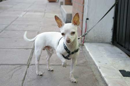 Coffee Cup, Puerto Vallarta 