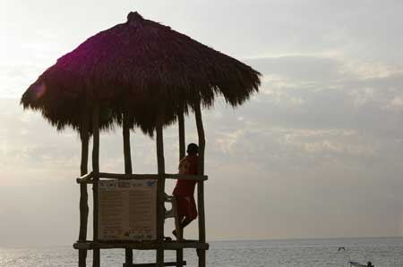 nobiz, Puerto Vallarta