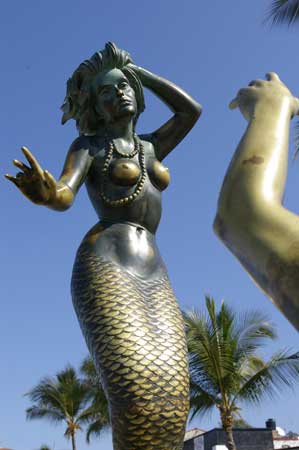 nobiz, Puerto Vallarta