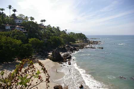 nobiz, Puerto Vallarta