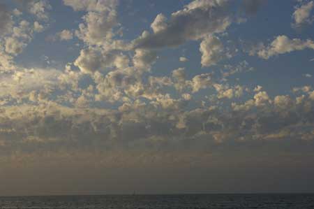 nobiz, Puerto Vallarta