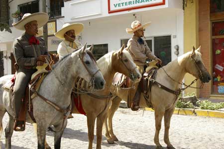 nobiz, Puerto Vallarta