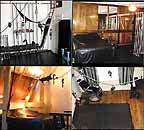 Glimpses of Black Tulip 